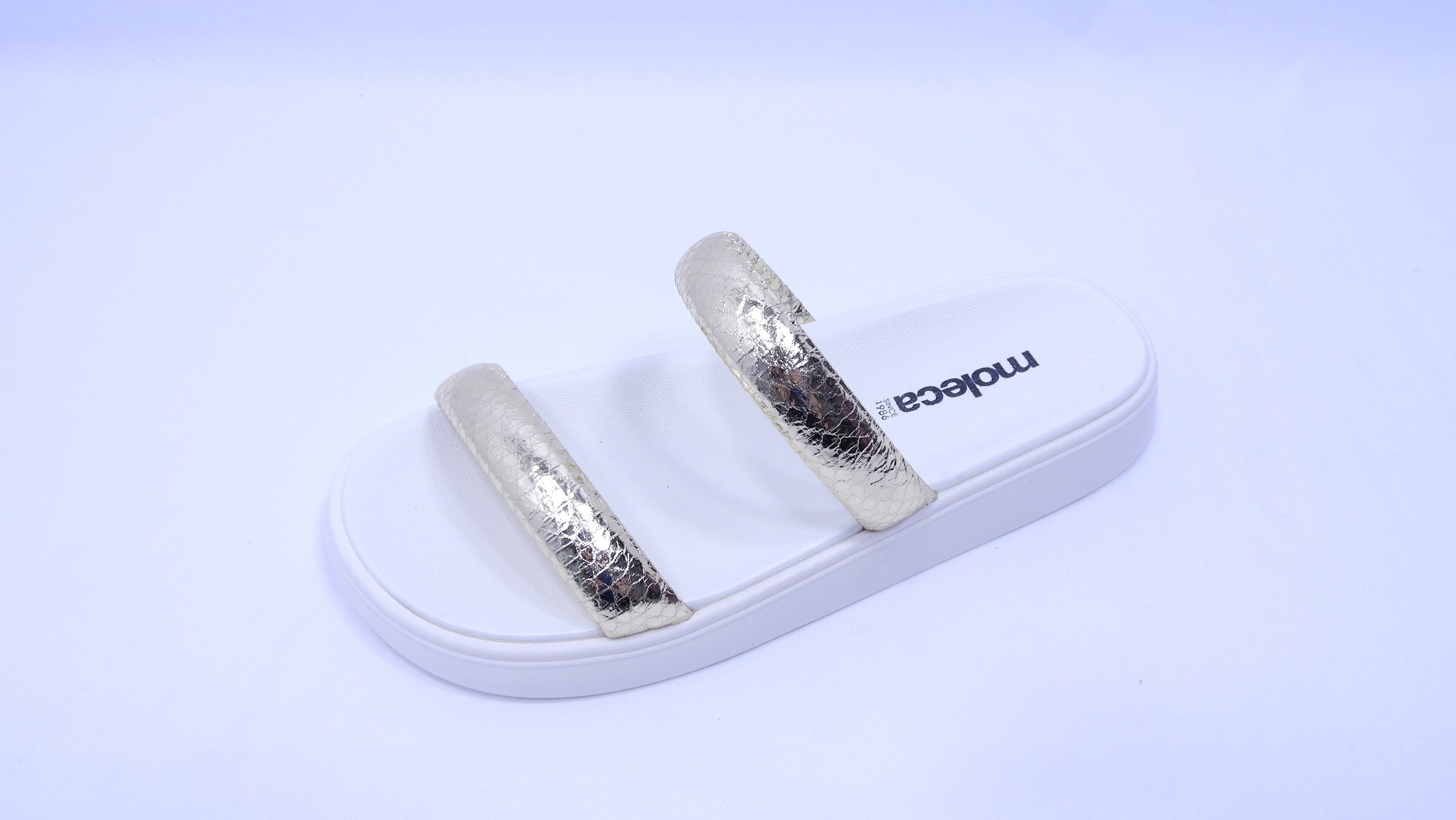 3629 - Moleca 5507101-1